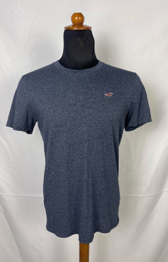 Hollister 608