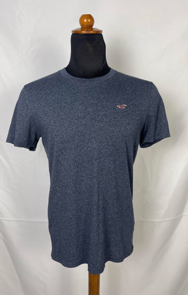 Hollister 608