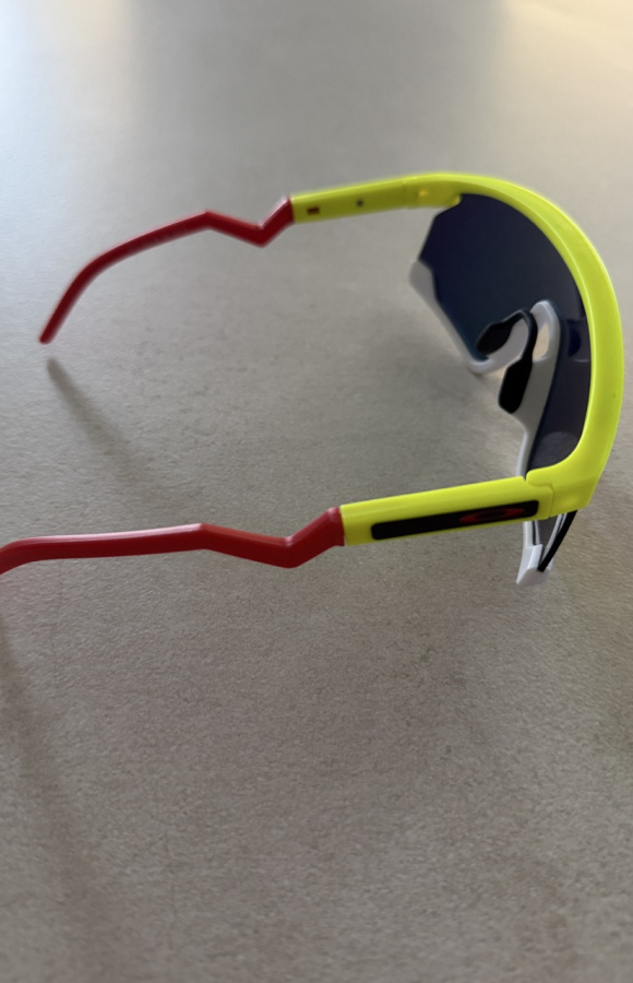 Sunglasses 832