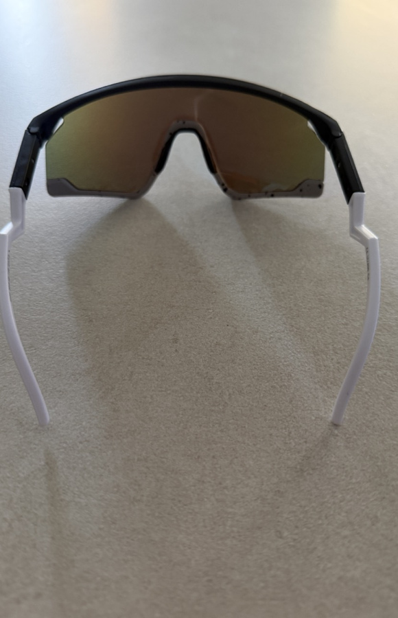 Sunglasses 831