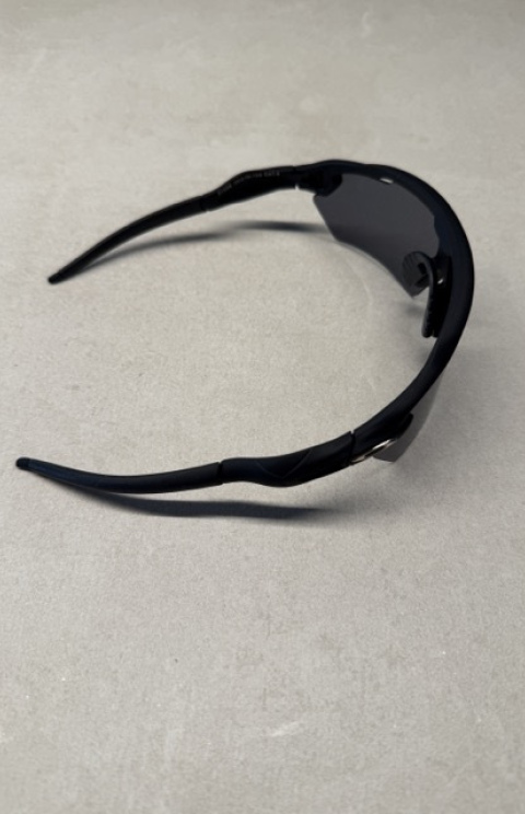 Sunglasses 823
