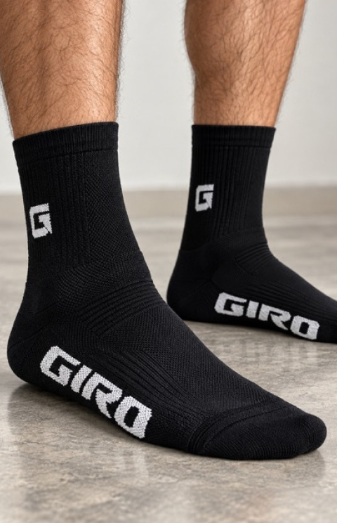 GIRO 293