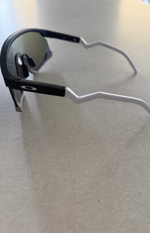 Sunglasses 831