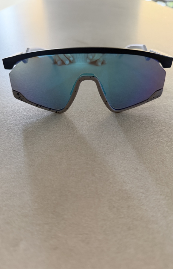 Sunglasses 831