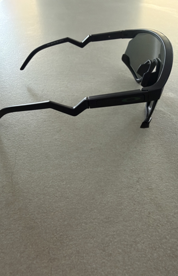 Sunglasses 828