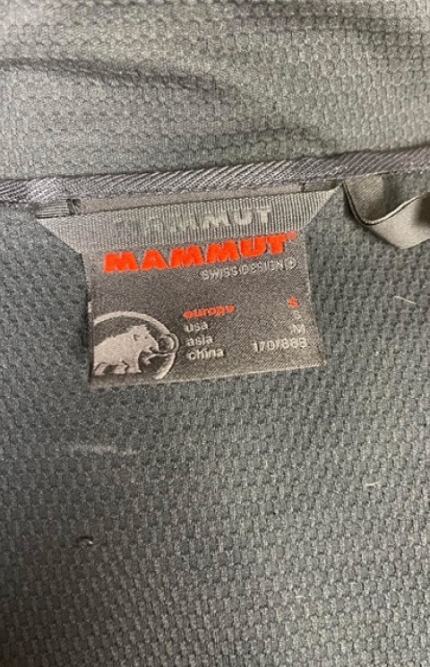 Mammut  
