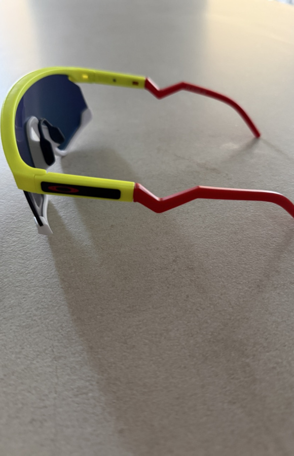 Sunglasses 832