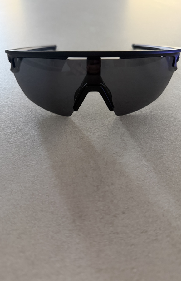 Sunglasses 833
