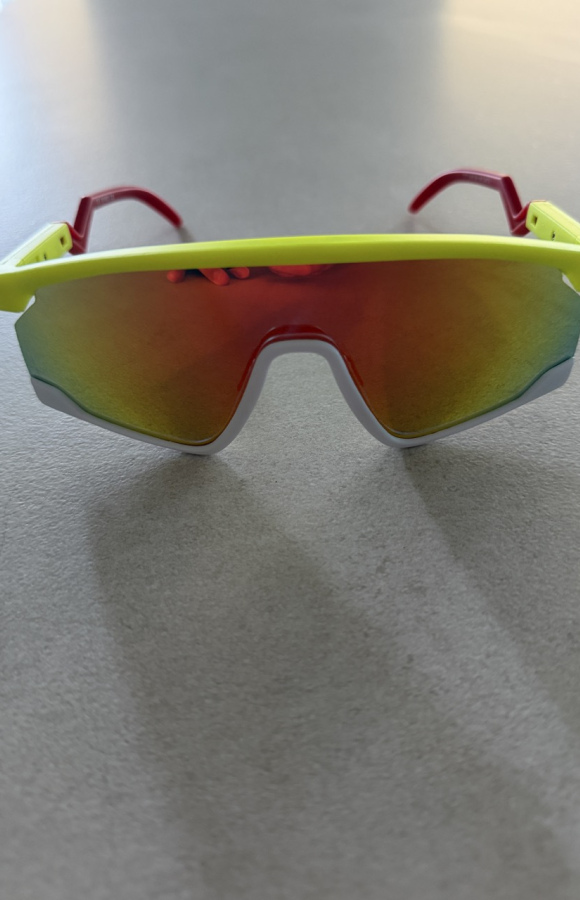 Sunglasses 832