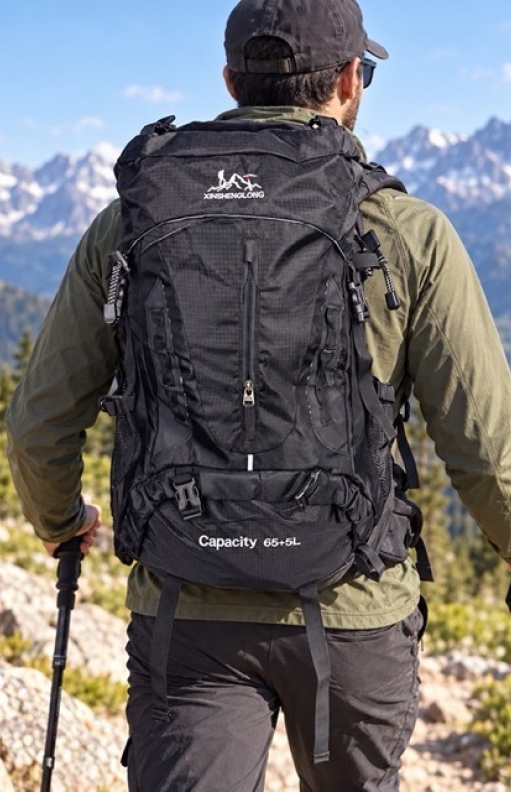 Backpack 746