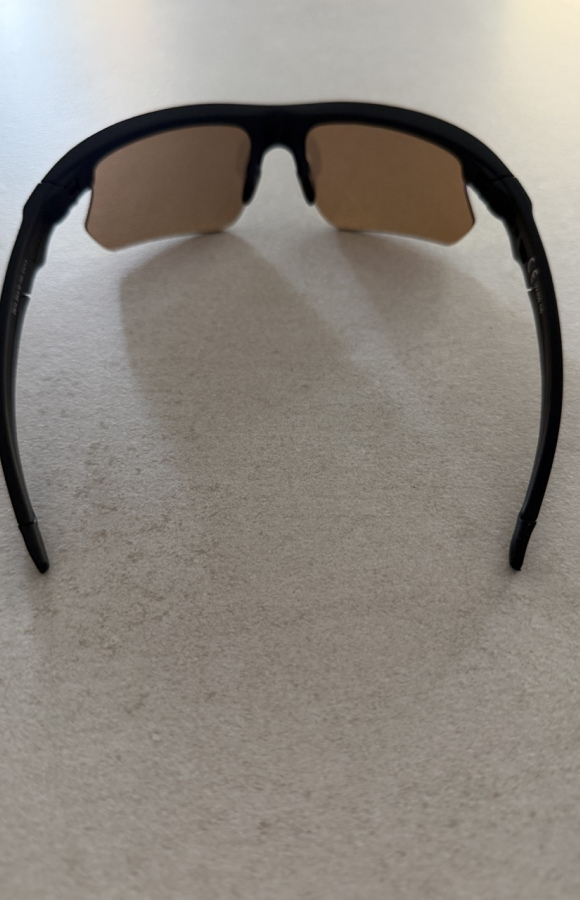 Sunglasses 829