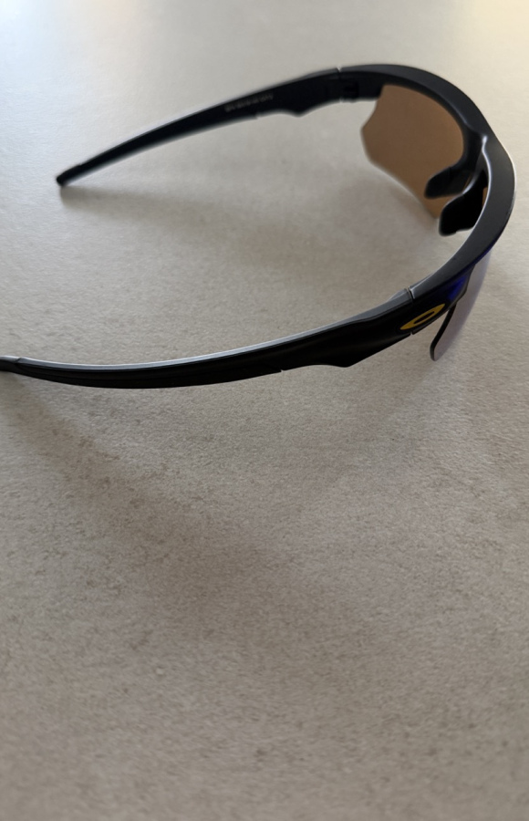 Sunglasses 829